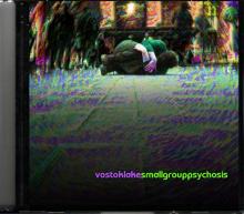 _Small Group Psychosis_ cover